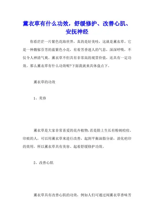 薰衣草有什么功效,舒缓修护、改善心肌、安抚神经