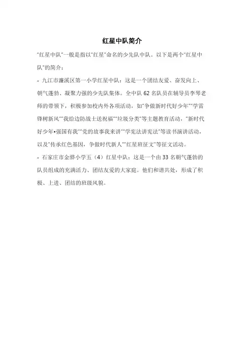 红星中队简介