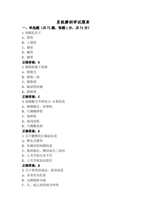 系统解剖学试题库