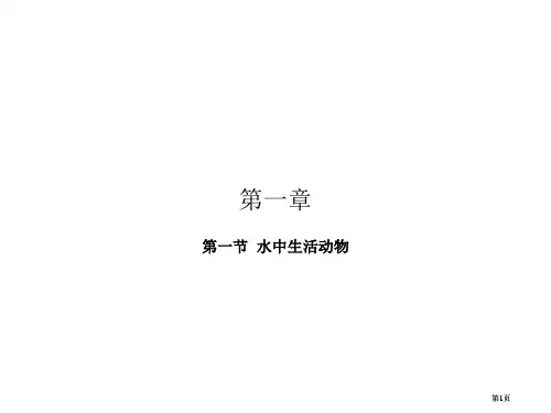 八年级生物水中生活的动物公开课一等奖优质课大赛微课获奖课件