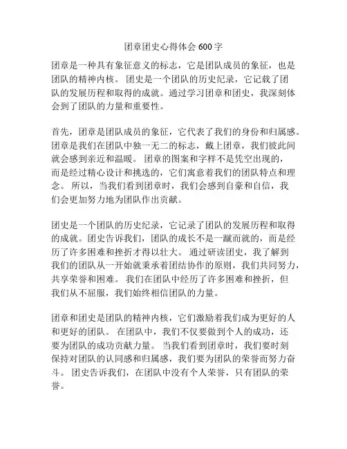 团章团史心得体会600字