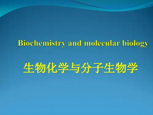 生物化学与分子生物学蛋白质的结构和功能