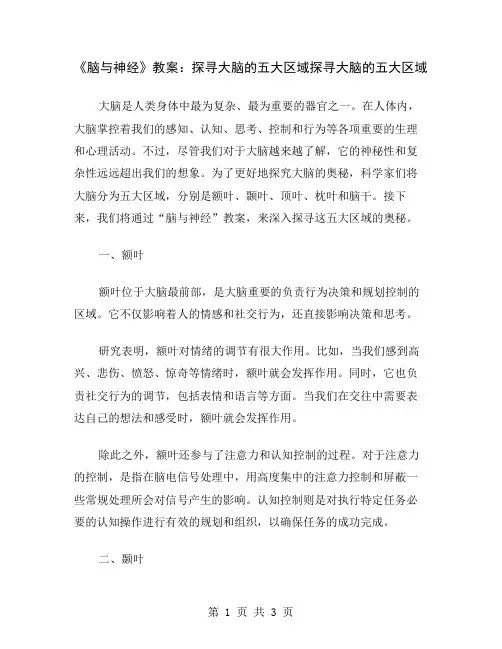 《脑与神经》教案：探寻大脑的五大区域