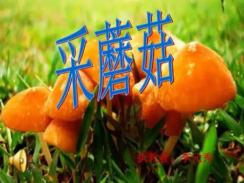 20.采蘑菇ppt