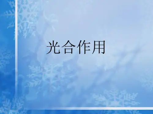 光合作用
