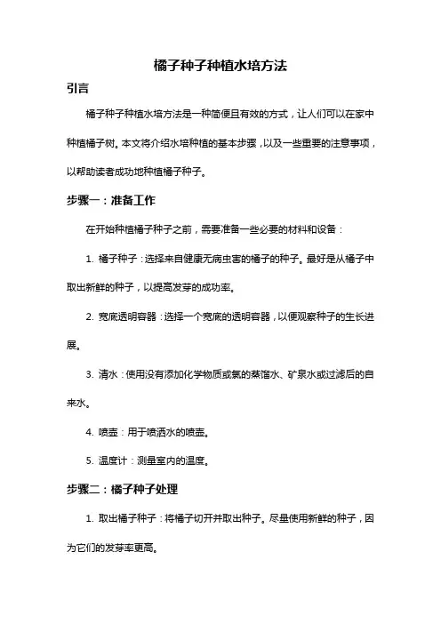 橘子种子种植水培方法