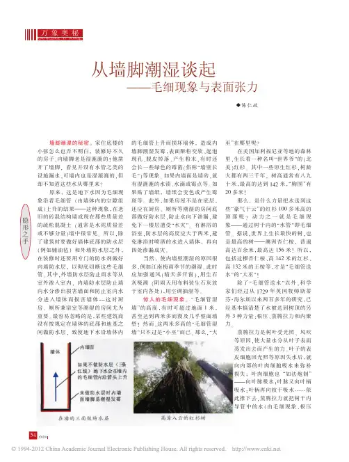 从墙脚潮湿谈起_毛细现象与表面张力