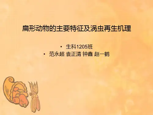 扁形动物的主要特征及涡虫的再生机理