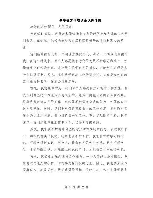领导在工作培训会议讲话稿
