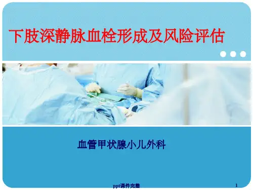 DVT深静脉血栓ppt课件