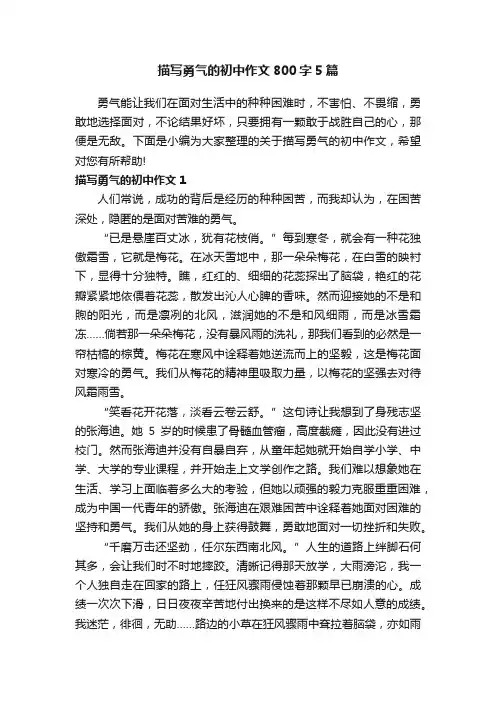 描写勇气的初中作文800字5篇