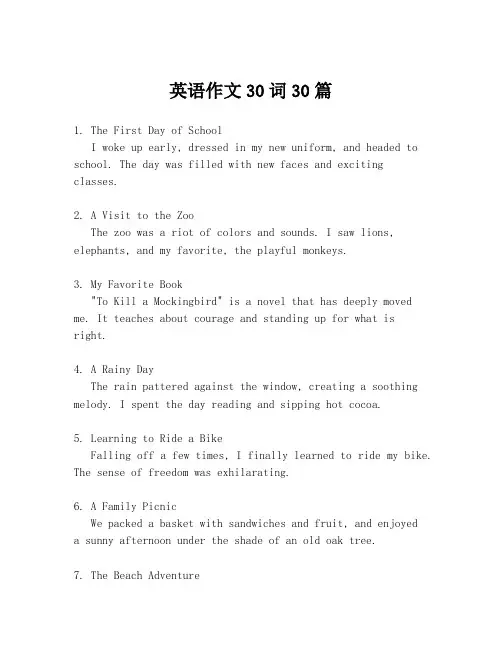 英语作文30词30篇