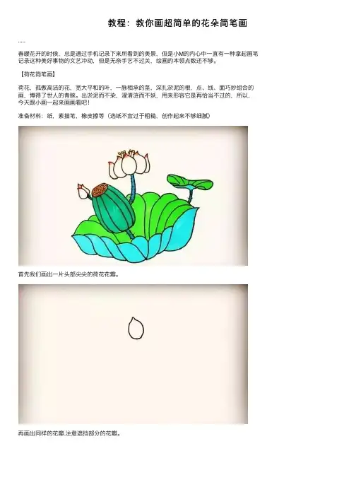 教程：教你画超简单的花朵简笔画