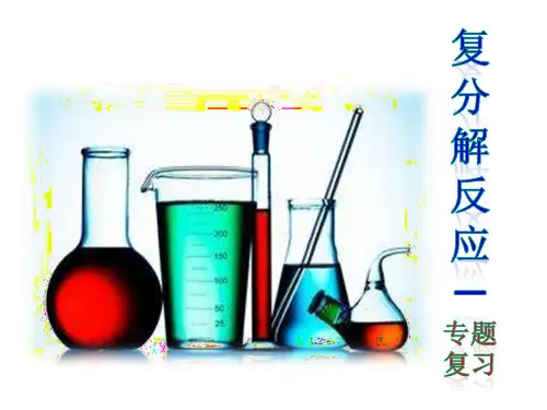 复分解反应—专题复习(共18张PPT)