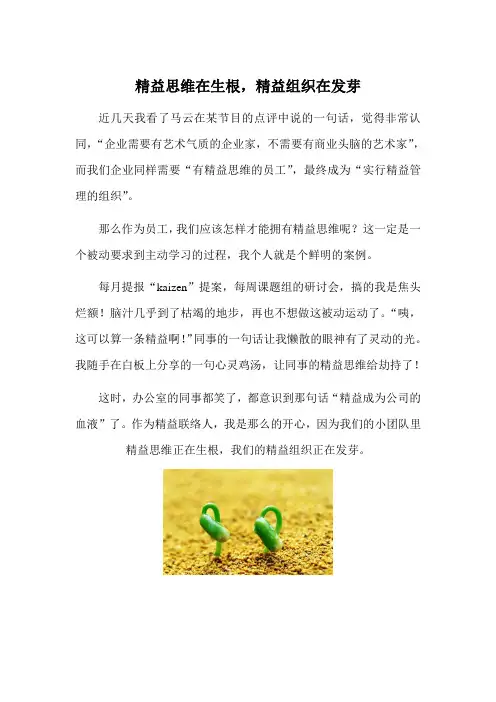 最新精益宣传稿