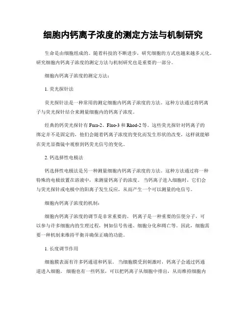 细胞内钙离子浓度的测定方法与机制研究