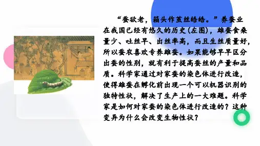 第二课染色体变异(教学课件)高一生物(人教版2019必修2)