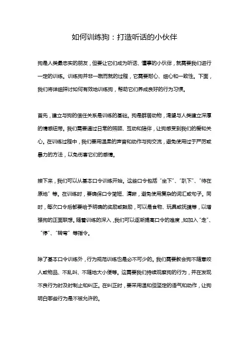 如何训练狗：打造听话的小伙伴