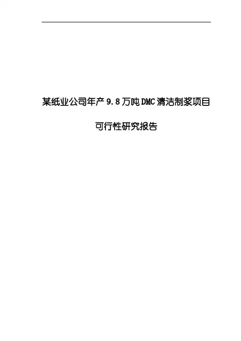 某纸业公司年产9.8万吨DMC清洁制浆项目可行性研究报告