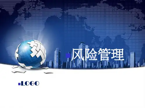 企业公司风险管理的基础理论知识资料
