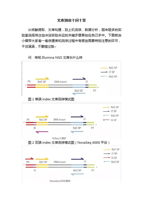 文库测序十问十答