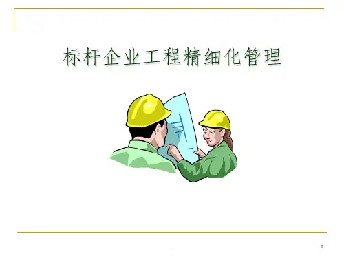 标杆企业工程精细化管理