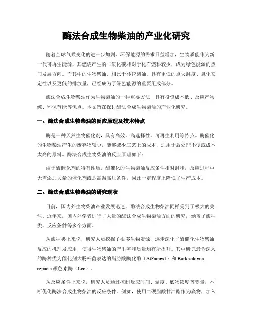 酶法合成生物柴油的产业化研究