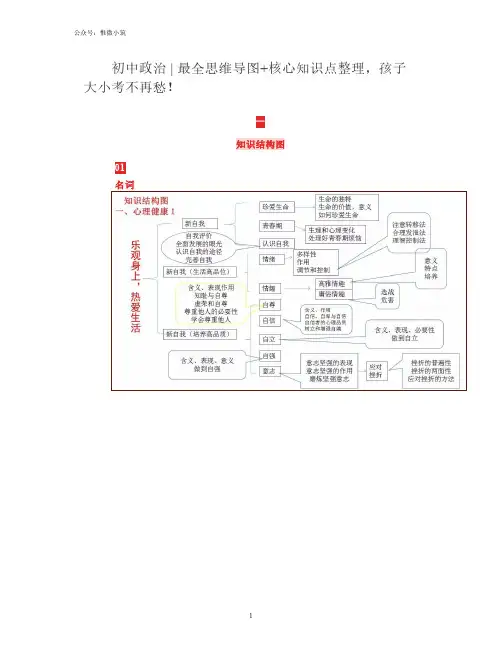 初中政治  最全思维导图+核心知识点整理