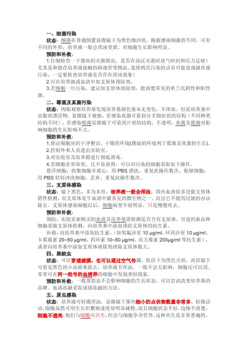 细胞培养污染问题及解决方案