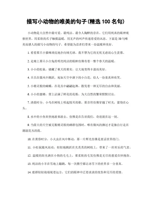 描写小动物的唯美的句子(精选100句)