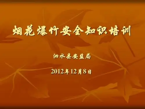 烟花爆竹经营业户培训课件