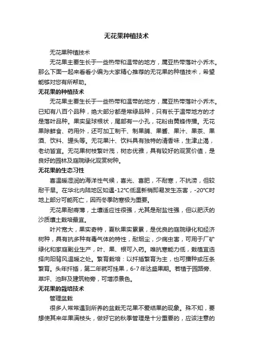 无花果种植技术