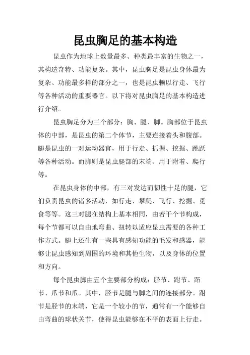 昆虫胸足的基本构造