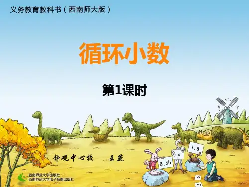 循环小数(一)