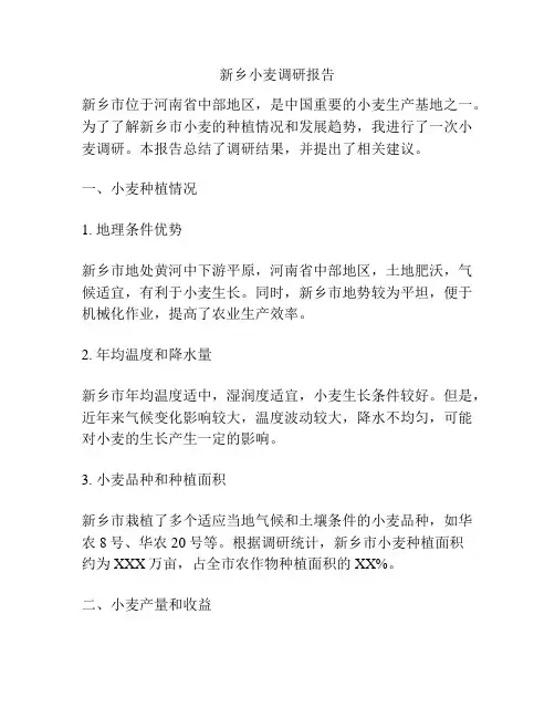 新乡小麦调研报告