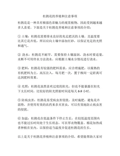 杜鹃花的养殖和注意事项
