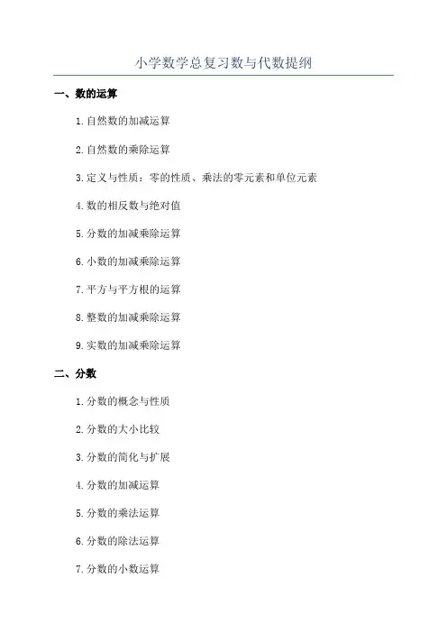 小学数学总复习数与代数提纲