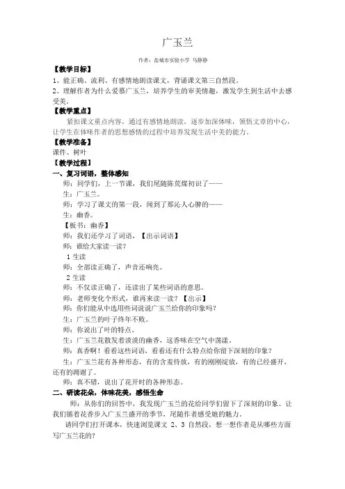 《广玉兰》教案