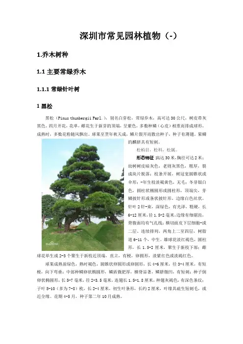 深圳常见绿化植物(一)