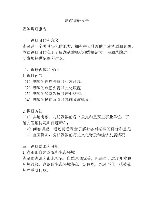 湖滨调研报告