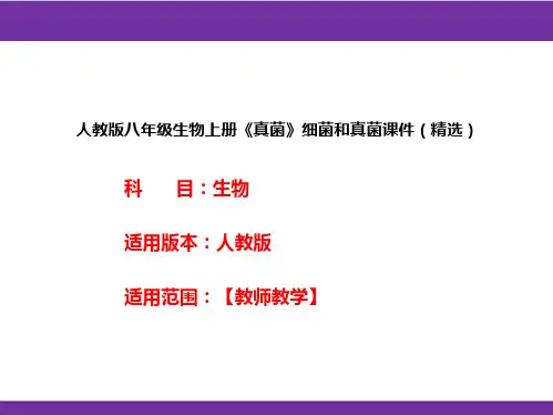人教版八年级生物上册《真菌》细菌和真菌课件(精选)