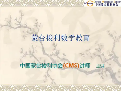 蒙台梭利数学教育PPT课件