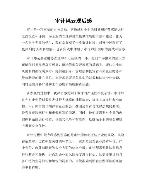 审计风云观后感