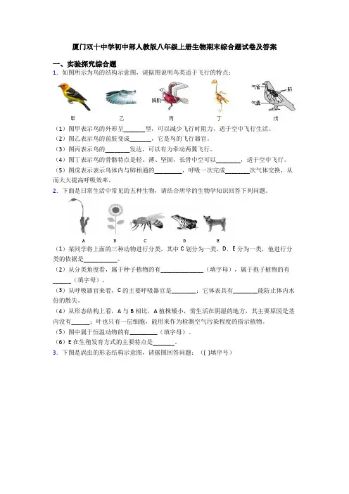 厦门双十中学初中部人教版八年级上册生物期末综合题试卷及答案