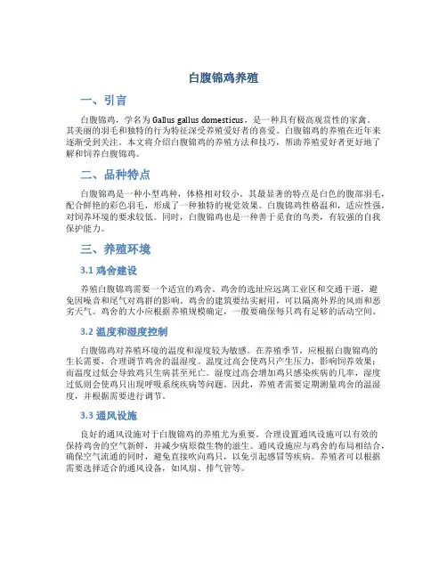 白腹锦鸡养殖