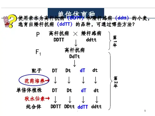 高中生物选修一：3.2月季的花药离体培养