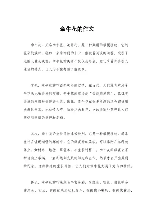 牵牛花的作文