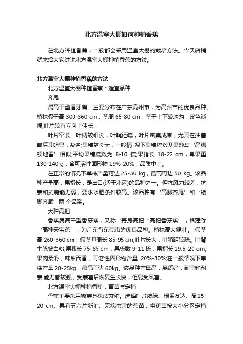 北方温室大棚如何种植香蕉
