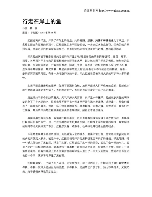 行走在岸上的鱼