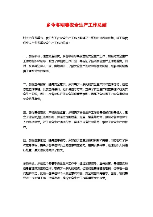 乡今冬明春安全生产工作总结